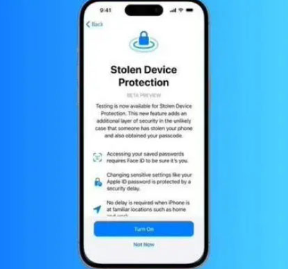 大荔苹果授权维修店分享被盗设备保护功能开启方法 