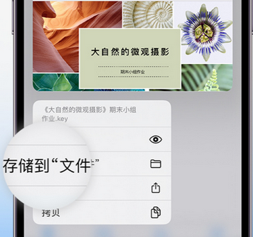 大荔apple维修中心分享iPhone文件应用中存储和找到下载文件