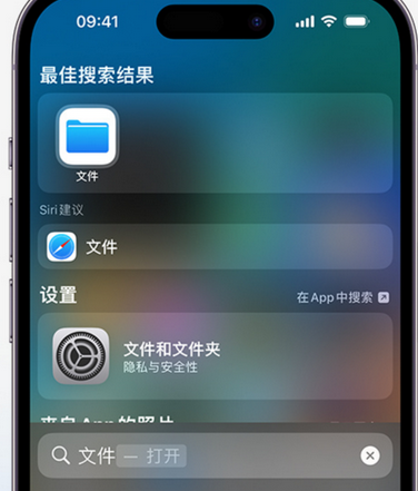 大荔apple维修中心分享iPhone文件应用中存储和找到下载文件 