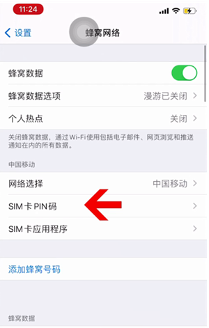 大荔苹果14维修网分享如何给iPhone14的SIM卡设置密码 