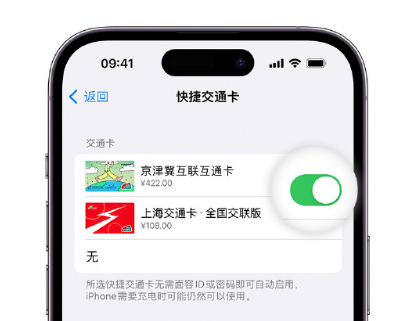 大荔apple维修点分享iPhone上更换Apple Pay快捷交通卡手绘卡面 