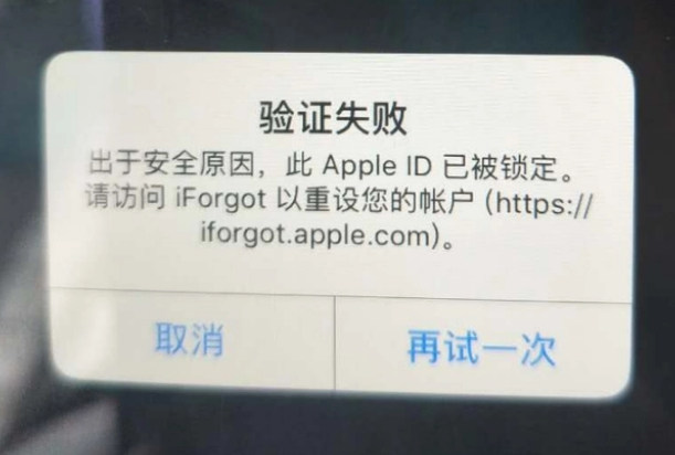 大荔iPhone维修分享iPhone上正常登录或使用AppleID怎么办 