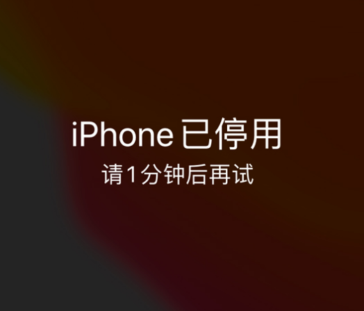 大荔苹果手机维修分享:iPhone 显示“不可用”或“已停用”怎么办？还能保留数据吗？ 