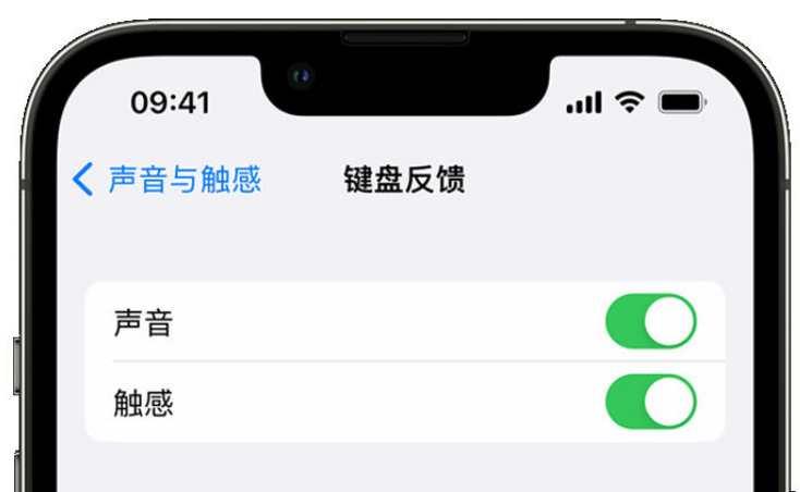 大荔苹果手机维修分享iPhone 14触感键盘使用方法 