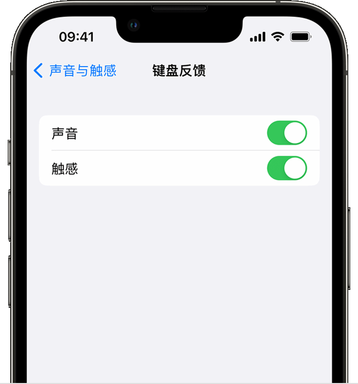 大荔苹果14维修店分享如何在 iPhone 14 机型中使用触感键盘 