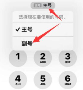 大荔苹果14维修店分享iPhone 14 Pro Max使用副卡打电话的方法 