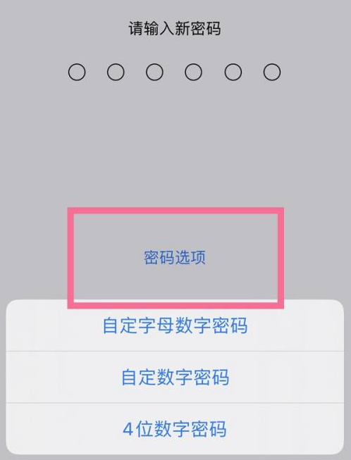 大荔苹果14维修分享iPhone 14plus设置密码的方法 