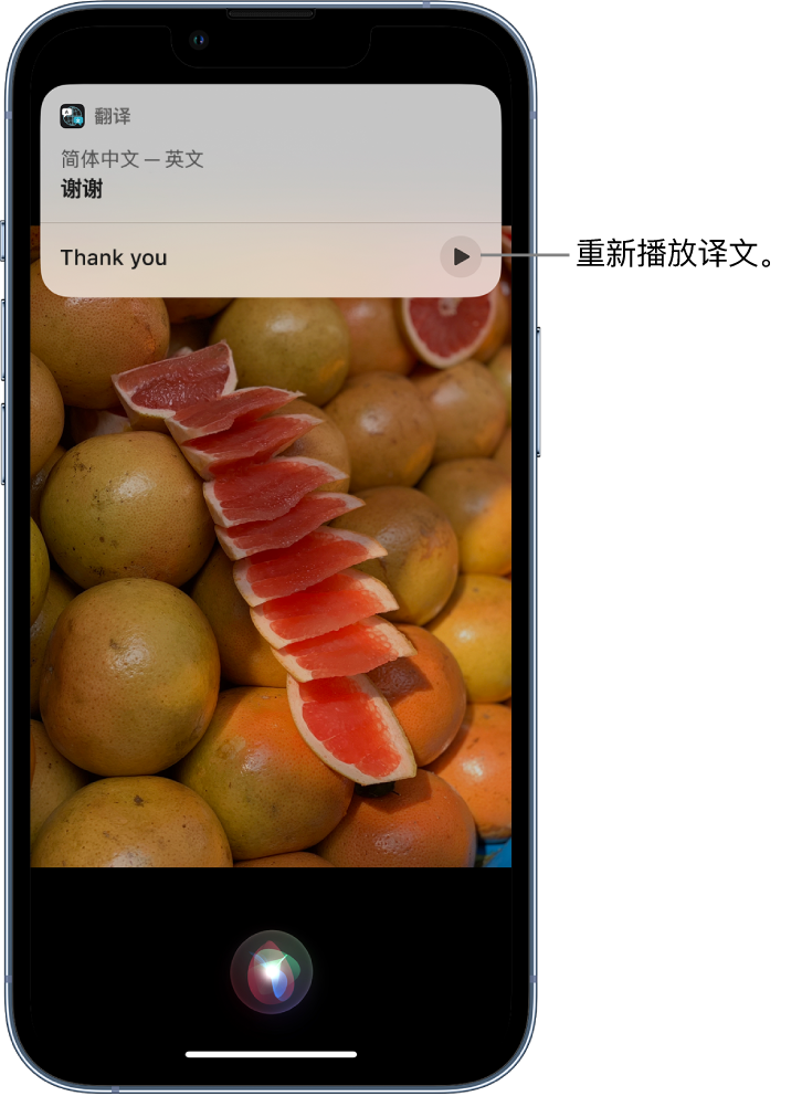 大荔苹果14维修分享 iPhone 14 机型中使用 Siri：了解 Siri 能帮你做什么 