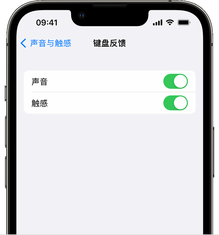 大荔苹果14维修分享iPhone 14 系列机型如何开启键盘声音或触感反馈 