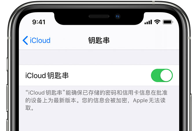 大荔苹果手机维修分享在 iPhone 上开启 iCloud 钥匙串之后会储存哪些信息 