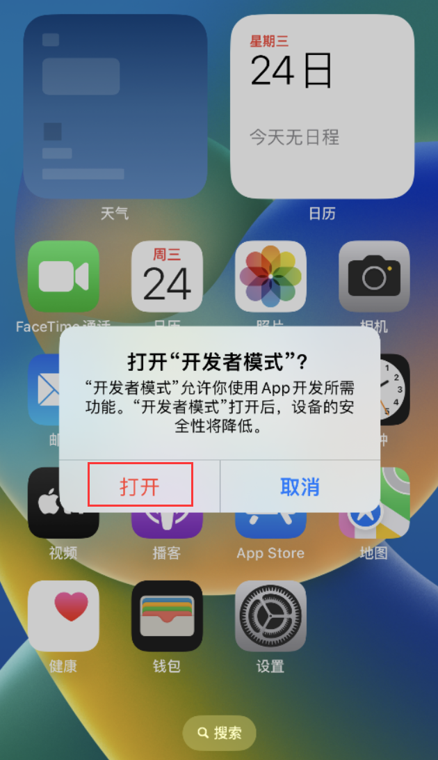 大荔苹果手机维修分享如何打开开发者模式 