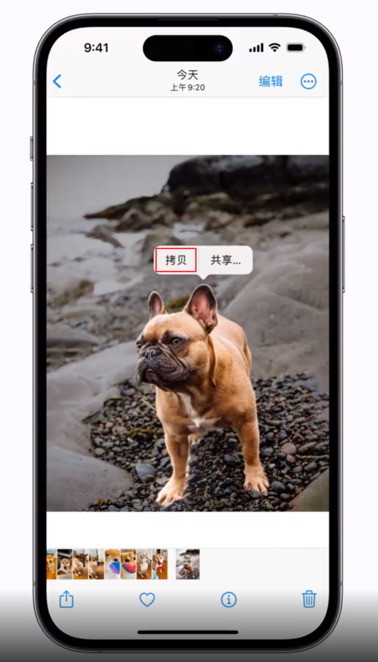 大荔苹果手机维修分享 iOS 16 自带一键抠图功能 