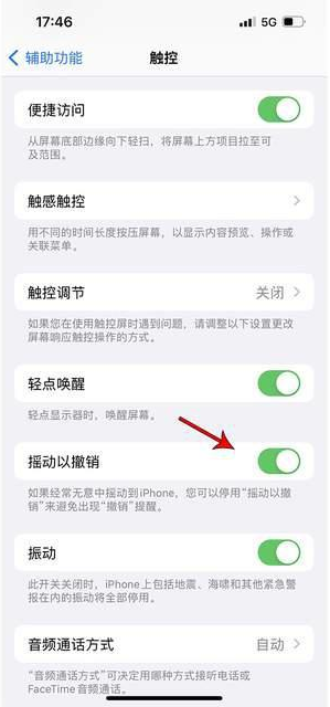 大荔苹果手机维修分享iPhone手机如何设置摇一摇删除文字 