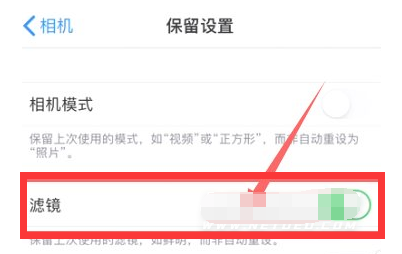 大荔苹果13维修分享iPhone13拍照有绿点是怎么回事 