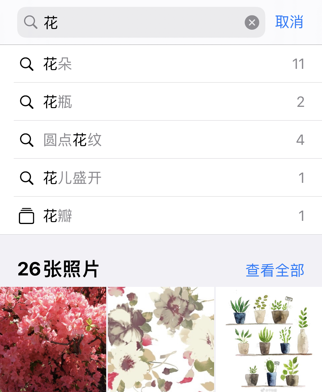 大荔苹果手机维修分享iPhone 小技巧 