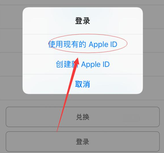 大荔苹果手机维修分享两台iPhone设备可以同时登录一个Apple ID吗 