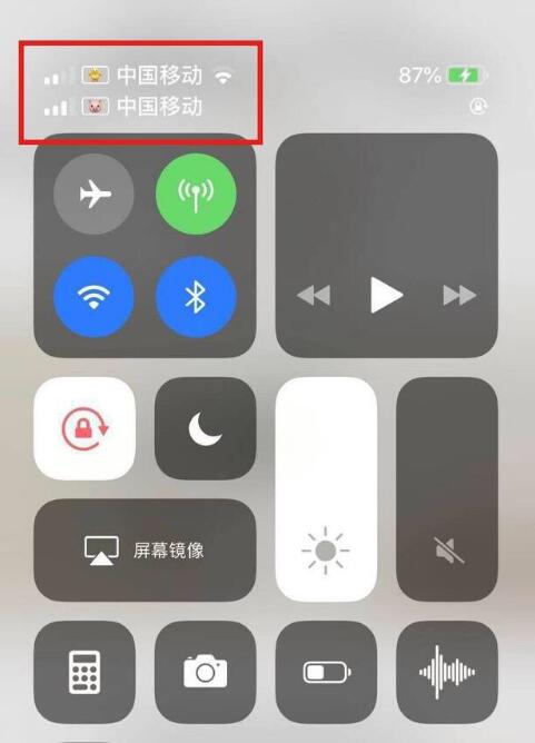 大荔苹果手机维修分享为 iPhone 12 双卡设置标签 