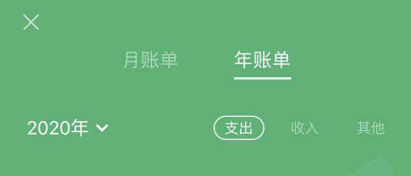 大荔苹果手机维修分享如何在 iPhone 上查看支付宝和微信年支出账单 