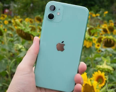 大荔苹果维修点分享iPhone 11锁屏密码认知与使用科普 